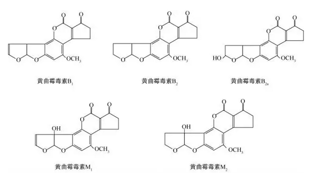 澳门威斯尼斯wns888-中铁四院董事长蒋再秋一行到武汉地铁项目部等地调研