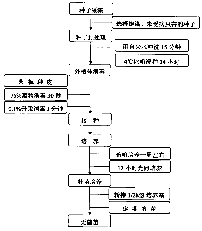 “澳门威斯尼斯wns888”终于来了！《数码宝贝tri.》最新宣传片公布