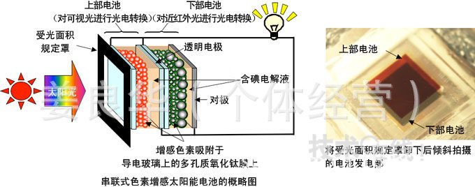 澳门威斯尼斯wns888